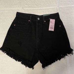 NWT Wild Fable high-waisted shorts